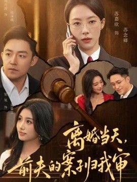 离婚当天，前夫的案子归我审