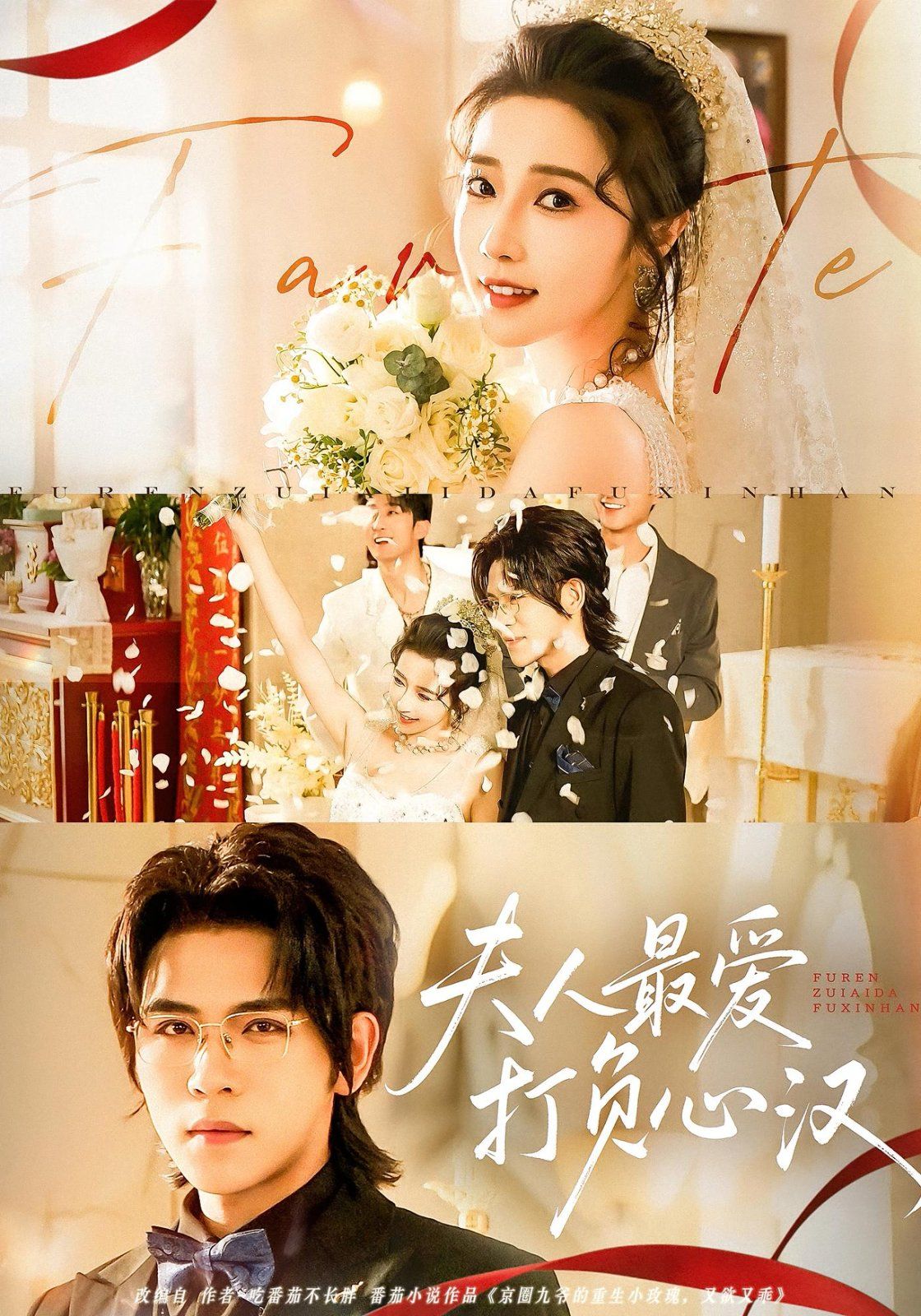 夫人最爱打负心汉