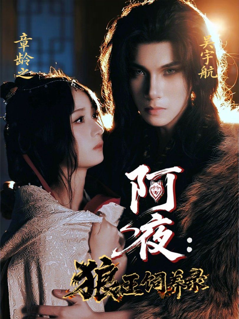 阿夜狼王饲养录