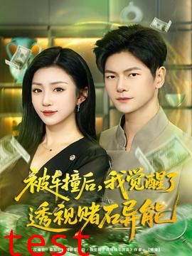 被车撞后，我觉醒了透视赌石异能