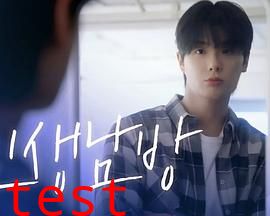 格纹衬衫第二季