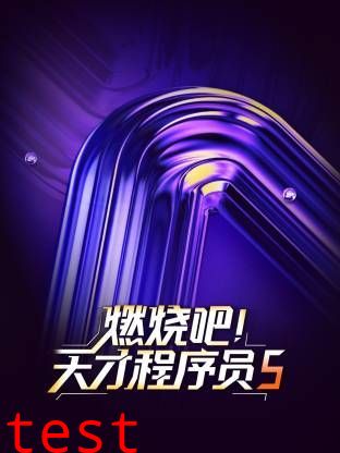 燃烧吧！天才程序员第五季