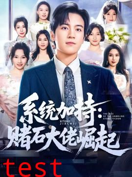 统加持：赌石大佬崛起