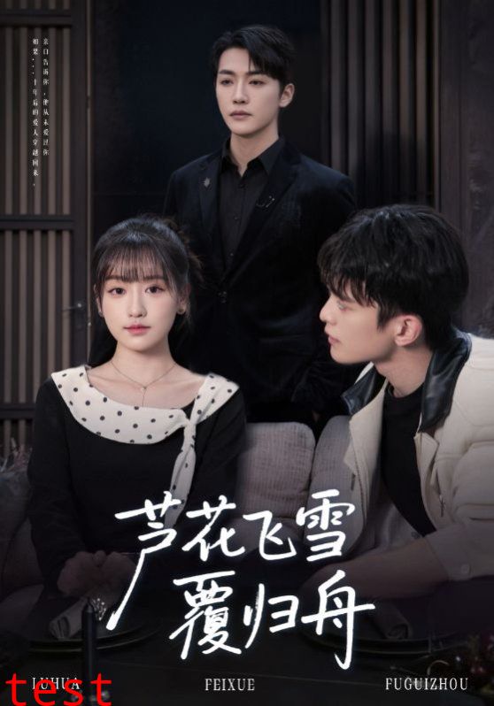 芦花飞雪覆归舟