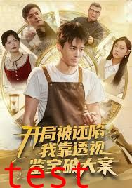 开局被诬陷，我靠透视鉴宝破大案