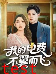 我的电费不翼而飞