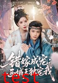 错嫁成宠西域王独宠我