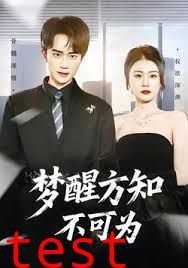 梦醒方知不可为