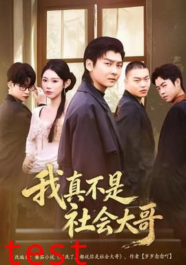 我真不是社会大哥
