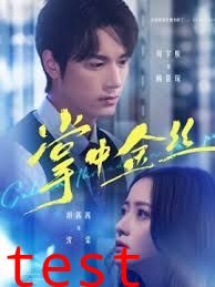 掌中金丝（长姐她竟是隐藏大佬）