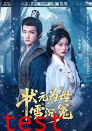 状元为母雪沉冤