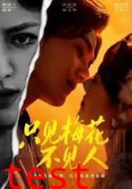 只见梅花不见人