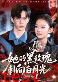 她的黑玫瑰刺向白月光