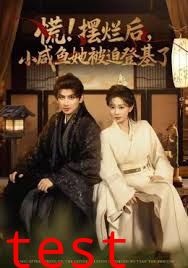 慌摆烂后小咸鱼她被迫登基了