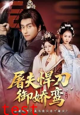 屠夫悍刀御娇鸾