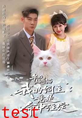 午夜缅因猫我的饲主竟是命中注定