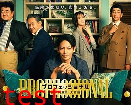 专业人士：保险调查员・天音莲