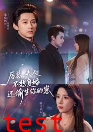 厉总，夫人不想复婚还偷生你的崽