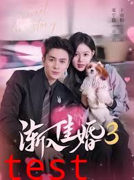 渐入佳婚3第三部