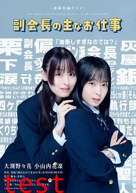 副会长的主要工作