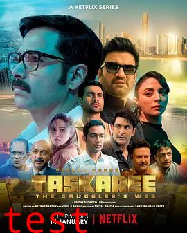 海关英雄：走私暗战