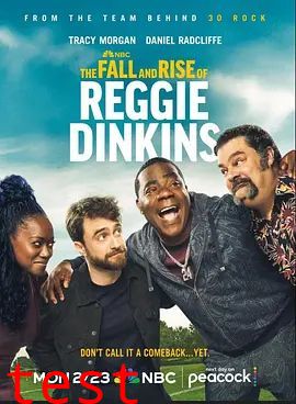 雷吉·丁金斯的兴衰