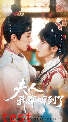 夫人，我都听到了，夫人每天都想被休