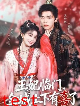 王妃临门全城上下有喜了
