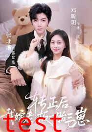 转正后我嫁老板一胎三崽