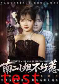 南二小姐不好惹