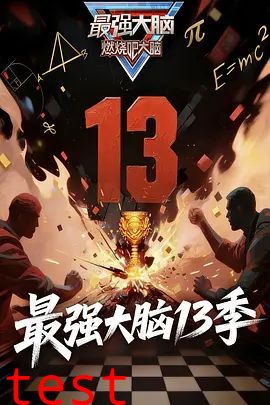 最强大脑第13季