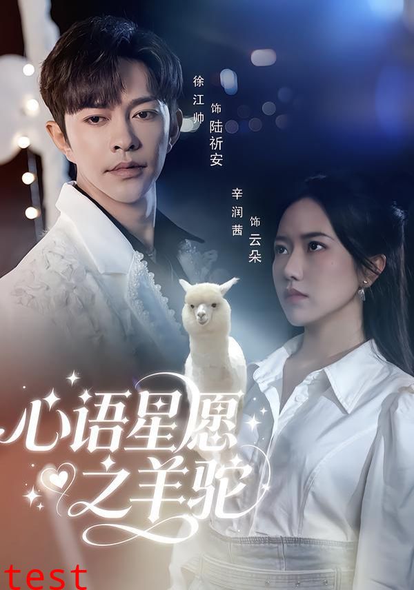 心语星愿之羊驼