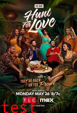 到美国结婚去:猎爱第一季