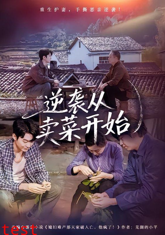 逆袭从卖菜开始