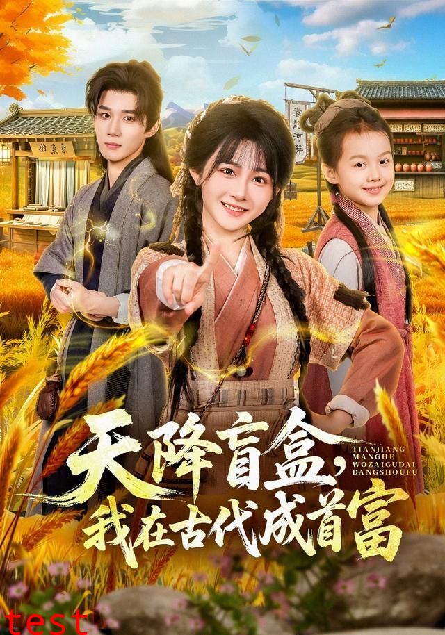 天降盲盒，我在古代成首富