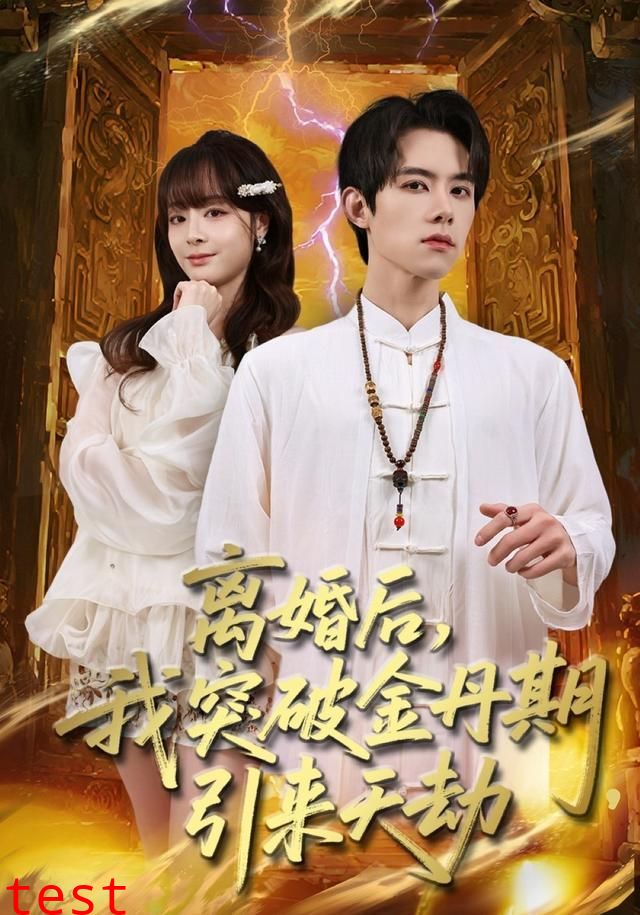 离婚后，我突破金丹期，引来天劫