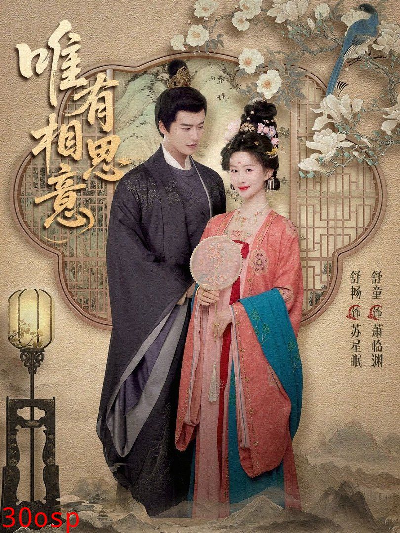 唯有相思意