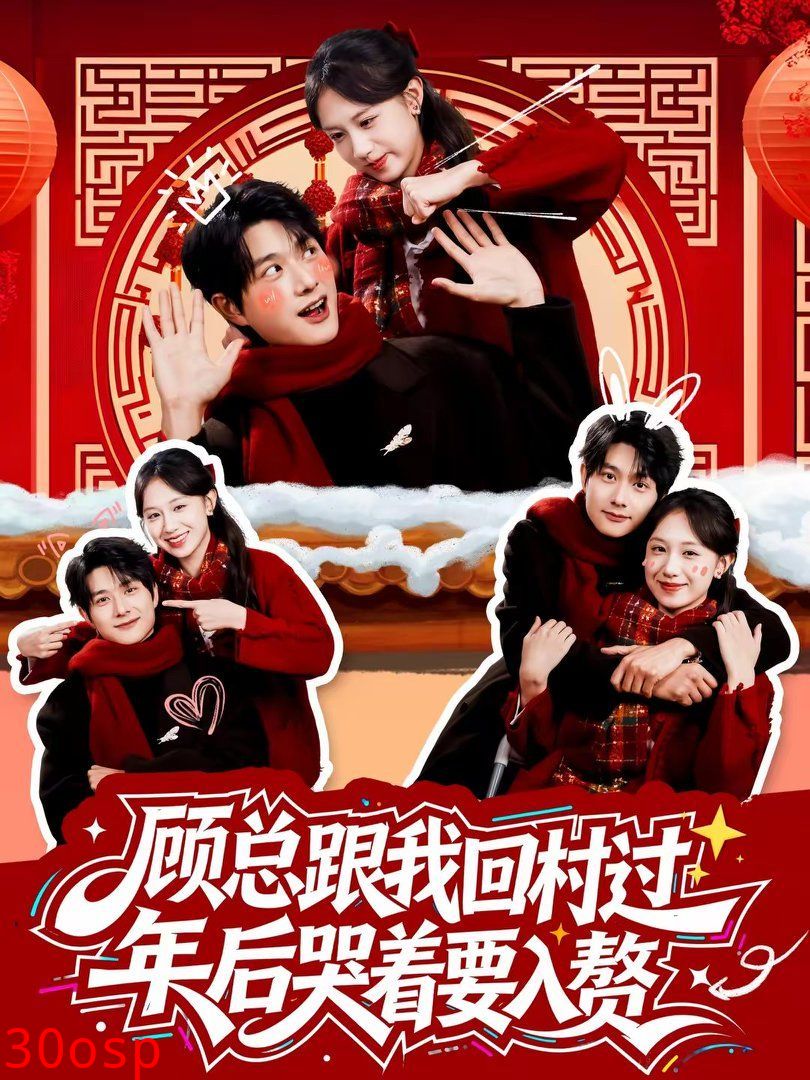 顾总跟我回村过年后哭着要入赘