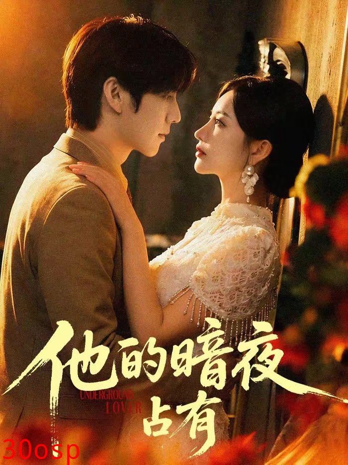 他的暗夜占有