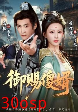 御赐傻婿