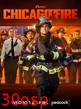 芝加哥烈焰第十四季