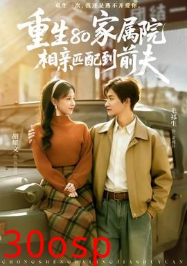 重生80家属院，相亲匹配到前夫