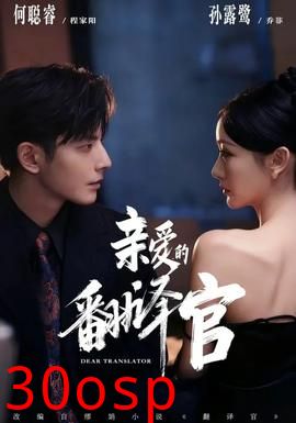 亲爱的翻译官