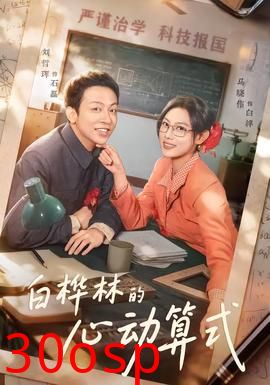 白桦林的心动算式