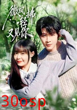 微风轻拂又见你