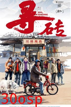 寻砖