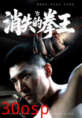 消失的拳王