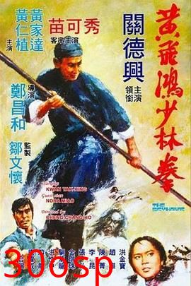 黄飞鸿少林拳国语