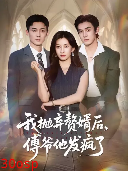 我抛弃赘婿后傅爷他发疯了
