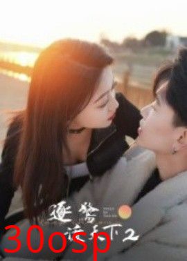 逐鹭渡天下2